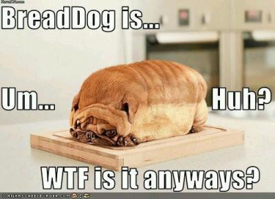 Bread Dog..jpg