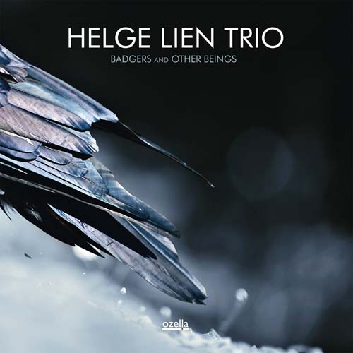 Helge Lien Trio - Badgers and Other Beings.jpg