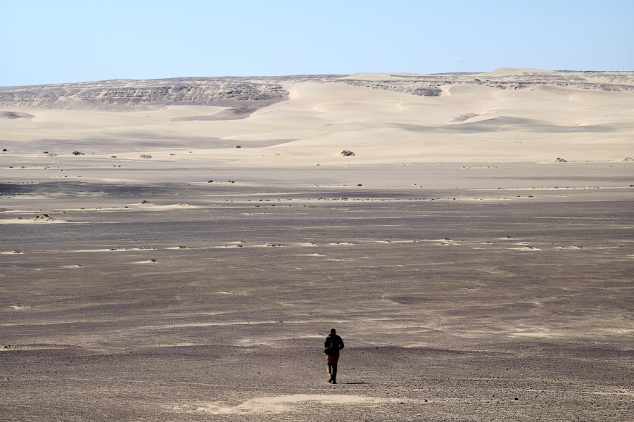 Namibia M10 41149.jpg