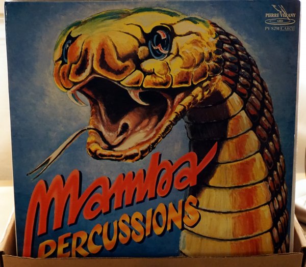 Mamba Percussions.jpg