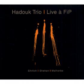 Hadouk Trio     Live à FIP.jpg