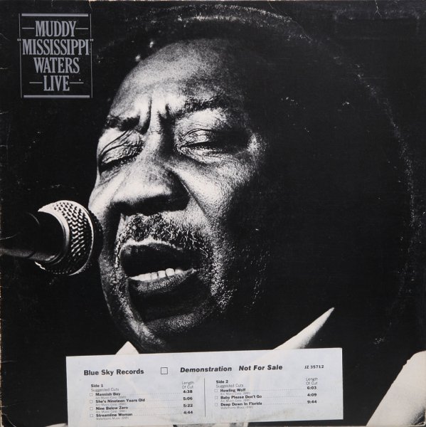 Muddy Waters.jpg