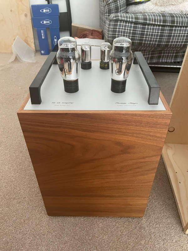 Thomas Mayer 46/46 Mono amplifiers, one of the best Single Ended amps around.