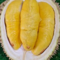 durian